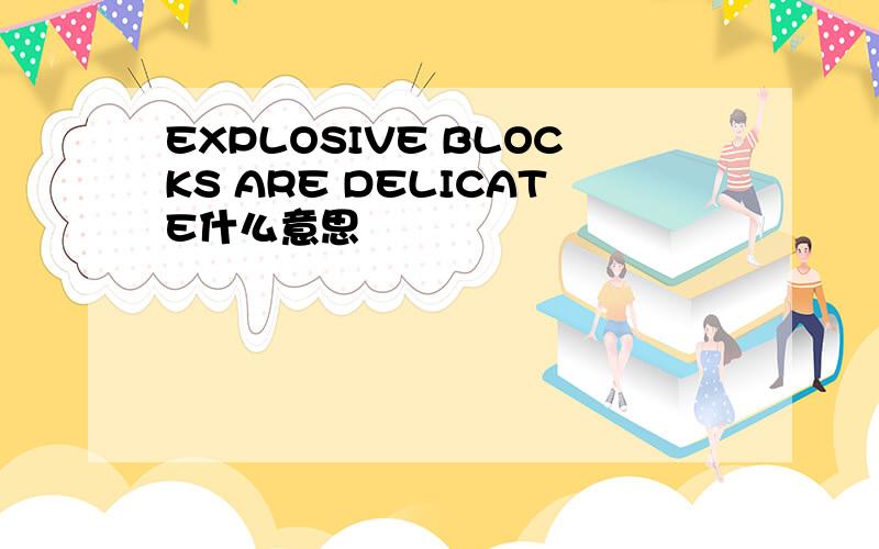 EXPLOSIVE BLOCKS ARE DELICATE什么意思