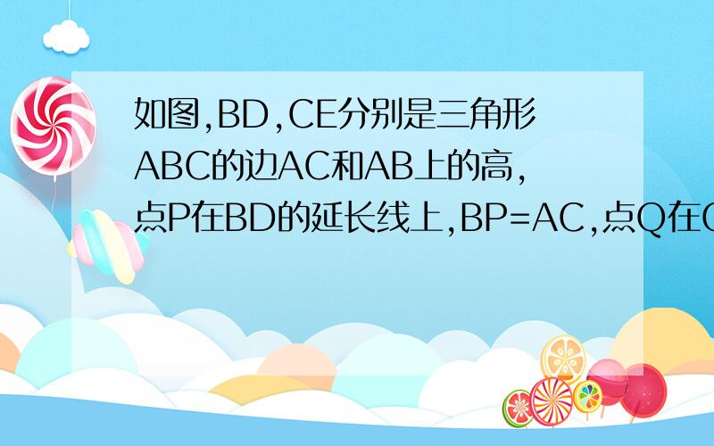如图,BD,CE分别是三角形ABC的边AC和AB上的高,点P在BD的延长线上,BP=AC,点Q在CE上...