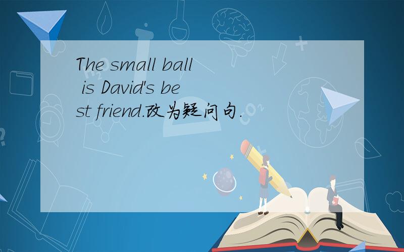 The small ball is David's best friend.改为疑问句.