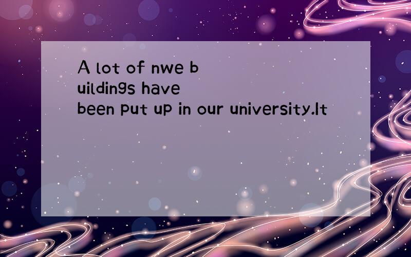 A lot of nwe buildings have been put up in our university.It