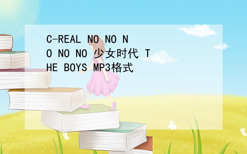 C-REAL NO NO NO NO NO 少女时代 THE BOYS MP3格式