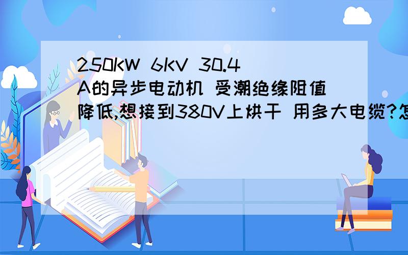 250KW 6KV 30.4A的异步电动机 受潮绝缘阻值降低,想接到380V上烘干 用多大电缆?怎么计算?电机堵