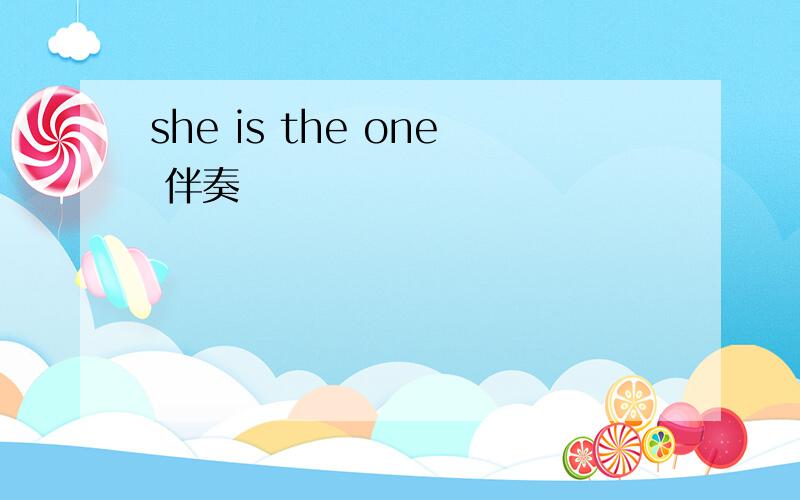 she is the one 伴奏