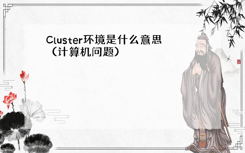Cluster环境是什么意思（计算机问题）