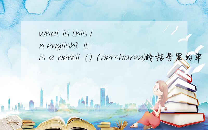 what is this in english? it is a pencil () (persharen)将括号里的单