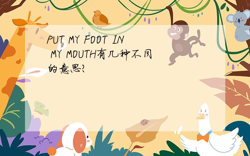 PUT MY FOOT IN MY MOUTH有几种不同的意思?