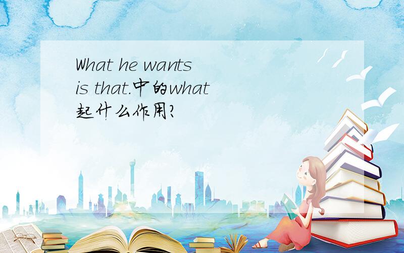 What he wants is that.中的what起什么作用?