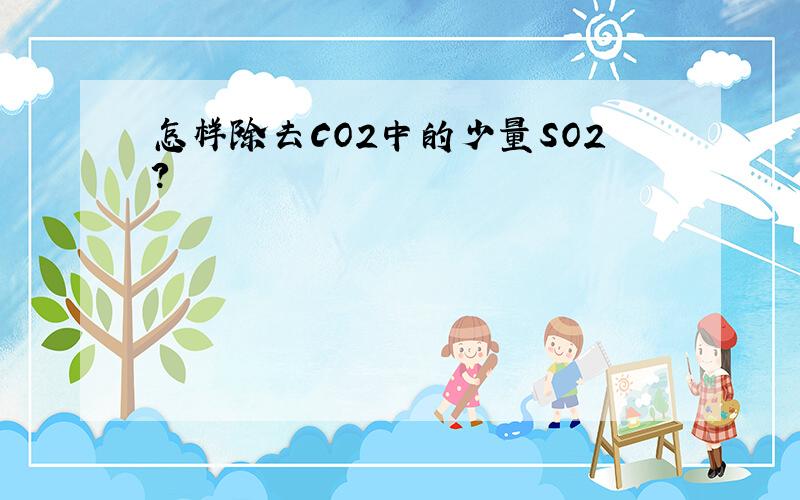 怎样除去CO2中的少量SO2?